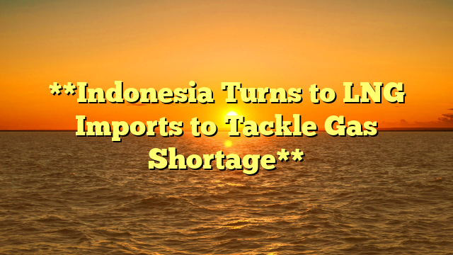 **Indonesia Turns to LNG Imports to Tackle Gas Shortage**